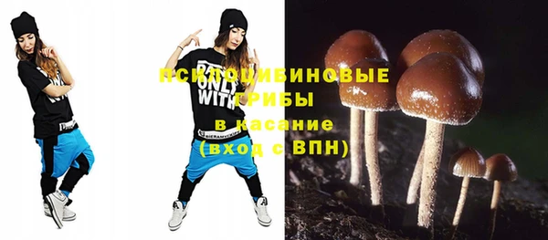 PSILOCYBIN Алексин