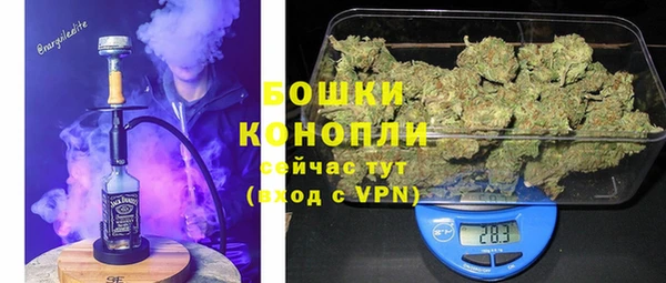 PSILOCYBIN Алексин