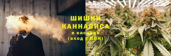PSILOCYBIN Алексин