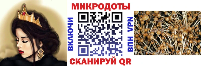 Псилоцибиновые грибы Psilocybe  Анива 